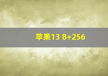 苹果13 8+256